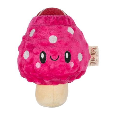 Territory Mushroom 2-in-1 Dog Toy