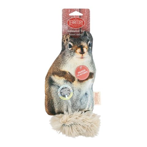 Territory Floppy Squirrel Dog Toy (11)