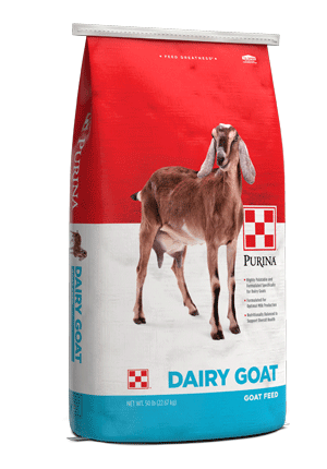 Purina® Dairy Goat Parlor 16