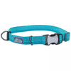 Coastal Pet Products K9 Explorer Brights Reflective Adjustable Dog Collar (1 x 18”-26”, Lake)