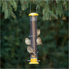 More Birds® Topsy Tails Tube Finch Feeder