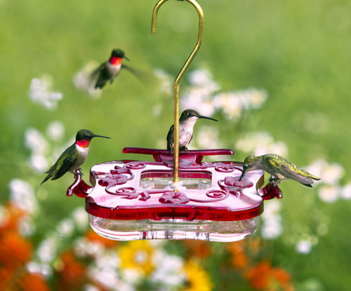 Aspects HighView Square Hummingbird Feeder