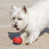 HERO Outer Armor Large, Durable Ball for Medium-Large Dogs, Squeaks & Floats