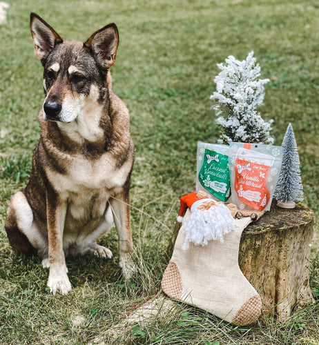 The Lazy Dog Coconut Snowballs Stocking