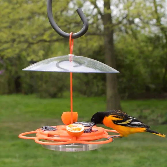 Nature's Way All-In-One Oriole Buffet Feeder