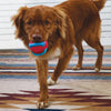 KONG Jaxx Brights Ball W/Rope Assorted Dog Toys (Medium)