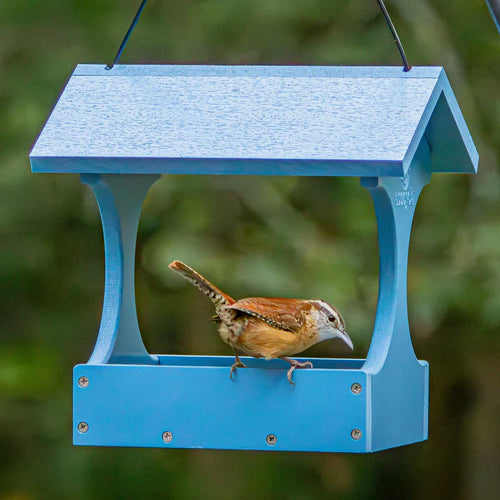 Nature's Way Bird Products EcoCycle™ Dine-n-Dash Recycled Plastic Bird Feeder