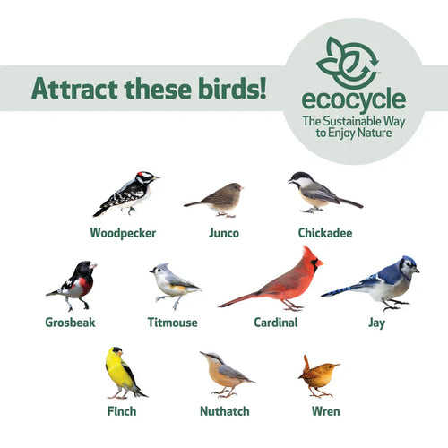 Nature's Way Bird Products EcoCycle™ Dine-n-Dash Recycled Plastic Bird Feeder