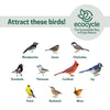 Nature's Way EcoCycle™ Hopper Hangout Recycled Plastic Hopper Bird Feeder w/ Suet Cages