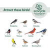 Nature's Way EcoCycle™ Combo Café 2-in-1 Recycled Plastic Bird Feeder and Bird Bath