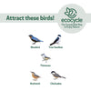 Nature's Way EcoCycle™ Bluebird Bungalow Recycled Plastic Bird House