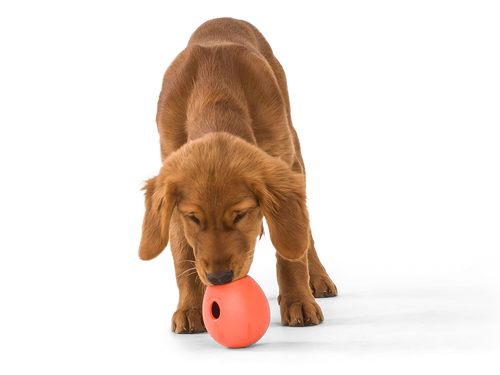 West Paw Zogoflex Rumbl® Dog Toy