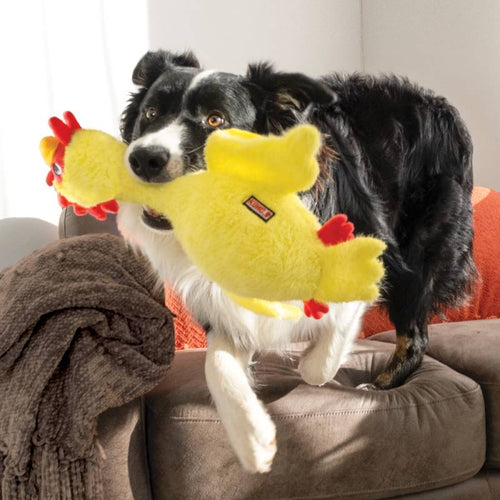 KONG Scruffs Chicken Dog Toy