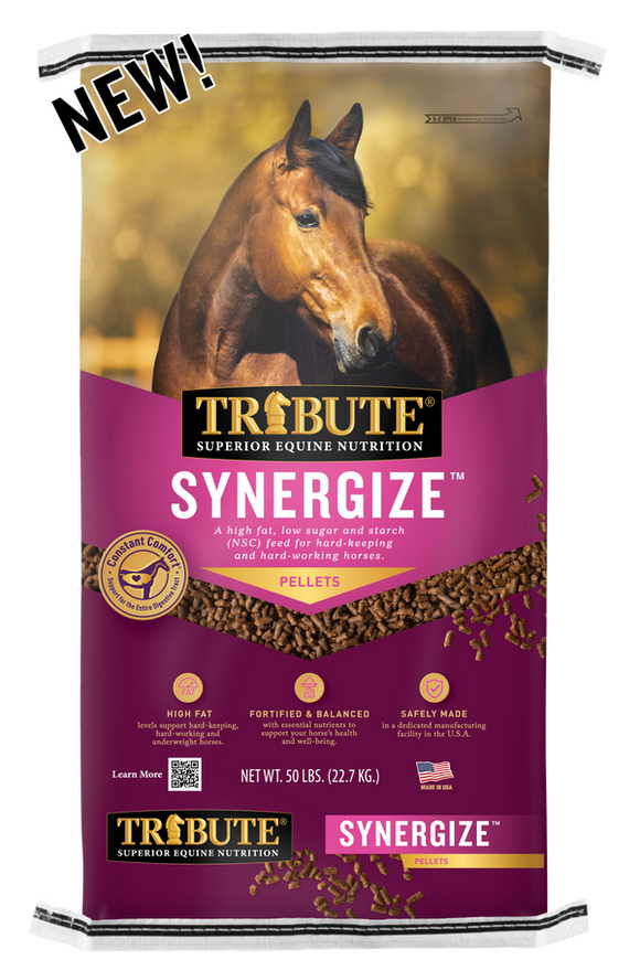 Tribute Synergize™ Pelleted Horse Feed