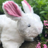 Hugglehounds Squooshies™ Bunny Dog Toy