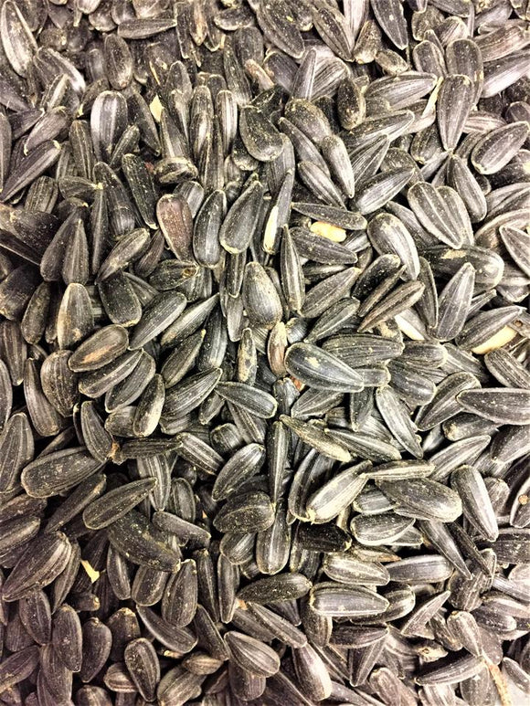 Birds Luv' Em Black Oil Sunflower