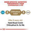 Royal Canin Breed Health Nutrition Chihuahua Adult Dry Dog Food