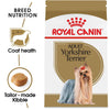 Royal Canin Breed Health Nutrition Yorkshire Terrier Adult Dry Dog Food