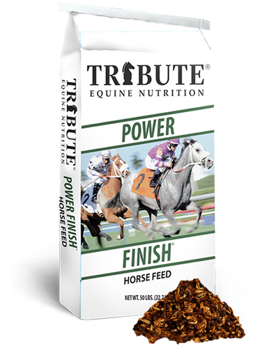 Tribute Power Finish®