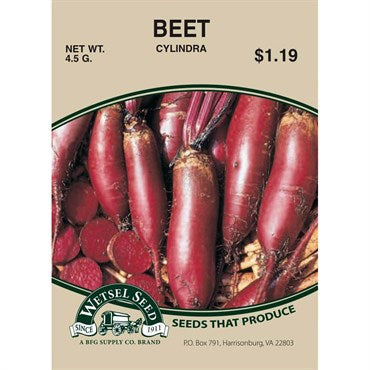 Wetsel Seed Beets - Cylindra