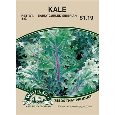 Wetsel Seed Kale - Early Curled Siberian
