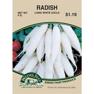 Wetsel Seed Radish - Long White Icicle
