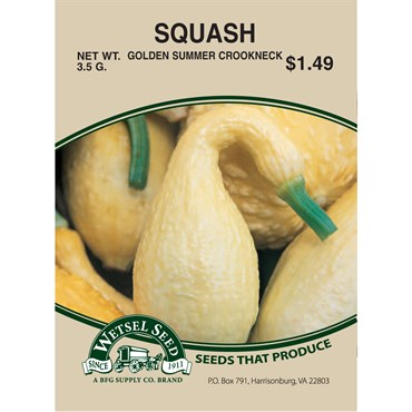Wetsel Seed Squash - Golden Crookneck (Zucchini)