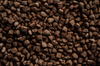 BUCKEYE™ Nutrition EQ8™ Performance