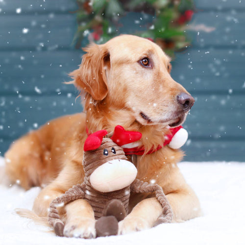ZippyPaws Holiday Crinkle Reindeer Dog Toy