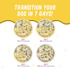 Weruva BFF Fun Size Meals  Roll The Dice with Chicken Breast & Rice Dog Wet  Food