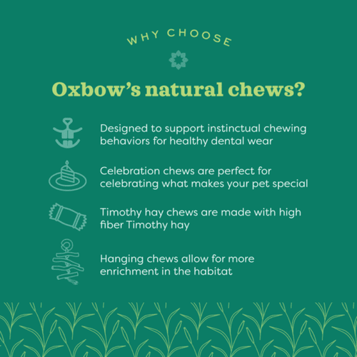 Oxbow Enriched Life – Hanging Mulberry Chew