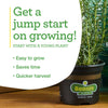 Bonnie Plants Better Boy Tomato (2 Pack)