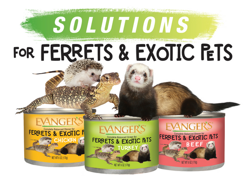 Evanger's Chicken Dinner for Ferrets & Exotic Pets