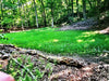 Antler King Game Changer Clover