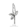 Botanical Interests Long Purple Eggplant Seeds