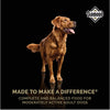 Diamond Maintenance Dry Dog Food