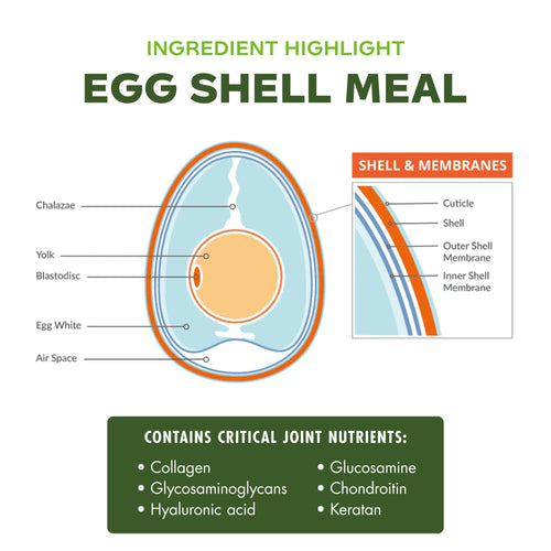 Fromm Mobility Supplement Pâté Wet Dog Food