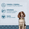 Nutrena® Loyall Life® Advanced Solutions Sensitive Skin & Coat Salmon & Oatmeal Recipe Adult Dog Food