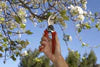 Bond Bypass Pruner