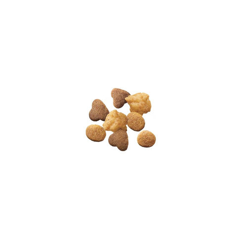 Purina Pro Plan Kitten Complete Essentials Shredded Blend Chicken & Rice Formula Dry Cat Food