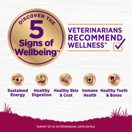 Wellness Complete Health Natural Small Breed Adult Turkey and Oatmeal Recipe Dry Dog Food