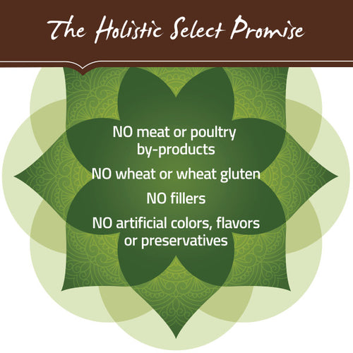 Holistic Select Natural Adult Health Lamb Meal Recipe Dry Dog Food