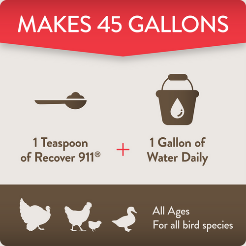 RECOVER 911 – Severe Stress Probiotic Water Supplement for Chickens with Electrolytes, Prebiotics & Oregano