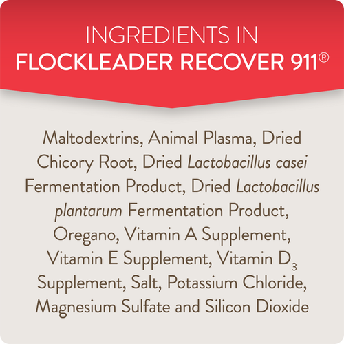 RECOVER 911 – Severe Stress Probiotic Water Supplement for Chickens with Electrolytes, Prebiotics & Oregano