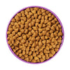 Purina Pro Plan All Ages Sport Performance 30/20 Chicken & Rice Formula Dry Dog Food