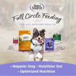 NutriSource Chicken Big Bites High-Quality Protein Dog Treats