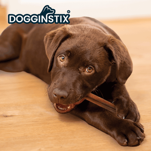 Dogginstix Bully Sticks 24 Cane Dog Treats