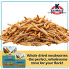 Kalmbach Feeds Henhouse Reserve Love Bug­™ Mealworm Treats