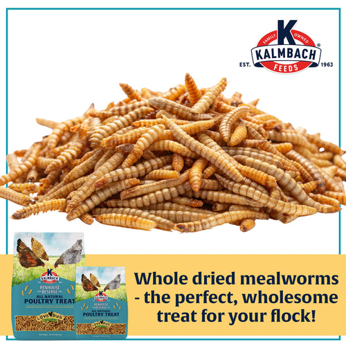 Kalmbach Feeds Henhouse Reserve Love Bug­™ Mealworm Treats