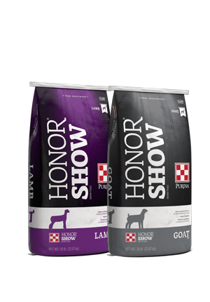 Purina® Honor® Show Lamb and Goat Creep 15 DX